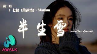 七叔（葉澤浩) / Madism - 半生雪 (Remix)『結局誰來寫寫不完愛恨纏綿，徒我顧影自憐自嘆又幾遍。』【動態歌詞 | Pinyin Lyrics】【AWALK MUSIC】