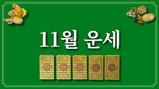 11월 운세⭐️(feat.11월에 있을 좋은 일)