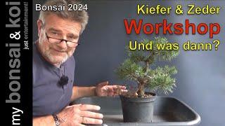 Bonsai 2024-58 - Kiefer und Zeder - Workshop! Und was dann?