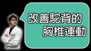 改善駝背的胸椎運動，做這個就對了！｜羅伯特物理治療