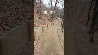 건강 걷기 #생각명료화전문가김일교수 #김일교수 #건강관리 #걷기 #수락산둘레길