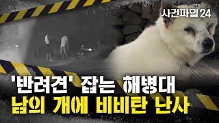 [사건파일24] "개 잡는 해병대"?···식당의 개 향해 비비탄 난사