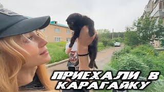 Соседи в Карагайке // ТОП МОМЕНТЫ С ТВИЧА - СКВАДА  " СОСЕДИ "  #vatarls #muhanjan #follentass