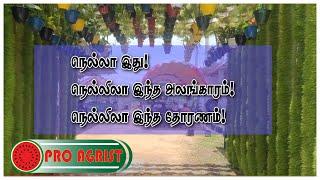 Dapog Technique | நெல் அலங்காரம் | டபொக்