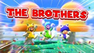 THE BROTHERS IN 3D | Super Mario 3D World 100% World 1