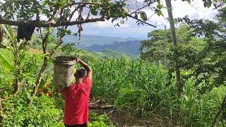 Foreigner Building House in the Philippines | Making Electrical Post Reinforcements in the Province