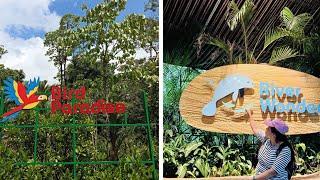 Visit Bird paradise and River Wonder 2024 Singapore #viral #birdparadise #singapore