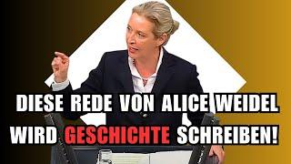 UNFASSBAR!ALICE WEIDEL ZERSTÖRT DIE KOMPLETTE AMPELREGIERUNG IM BUNDESTAG!