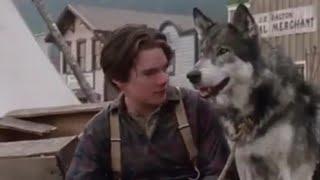 Colmillo Blanco / Ethan Hawke / Película completa (audio en español latino)