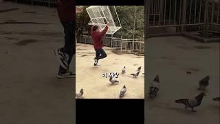 새가 스스로 들어가는데... 나갈 수는 없다고요?!