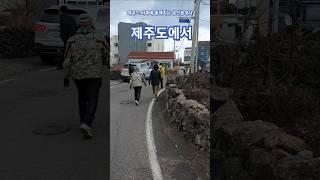 제주도 서쪽에 골때리는 공인중개사