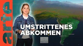 EU-Mercosur: Die Angst der Landwirte | Mit offenen Karten - Im Fokus | ARTE