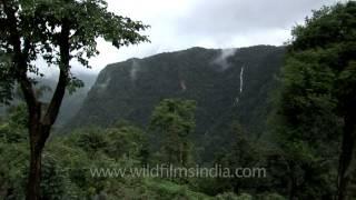Jog falls: One of the tallest plunge waterfalls