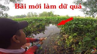 FISHING , ĐI TÌM BÃI MỚI ĐỤNG NGAY CON CÁ CHẠY CẮM ĐẦU CẦN