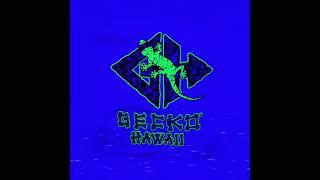 Gecko Hawaii's Limited Edition & Secret "Glow Skulls" Tee!