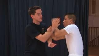 Joseph Lee Full Length Wing Chun Instructional DVD