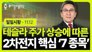 테슬라 주가 상승에 따른 2차전지 핵심 7종목 꼭 보세요. ( 조진표 대표 )