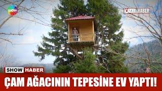 Çam ağacının tepesine ev yaptı!