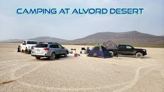 Surviving a Night in Alvord Desert