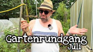 Gartenrundgang Juli - Wie wirkt sich die aktuelle Witterung auf unsere Pflanzen aus?