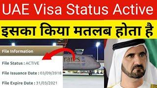 UAE Visa File Status Active Mean | UAE Visa Not Confirmed | UAE Visa File Status check | UAE Flight