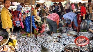 Activities of Kilo Fish Market No. 9! Many fish bought in a hurry. Cambodian market.