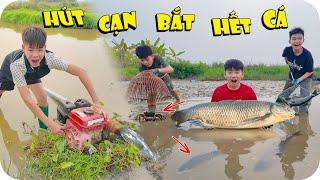 Hút Nước Bắt Sạch Cá Trong Đầm Nước Bỏ Hoang | Min Min TV Minh Khoa