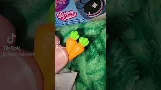 This littlest pet shop is my new best friend  #littlestpetshop #lps #toy #unboxing #blindbox
