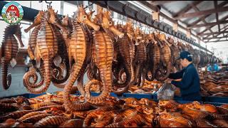 How SEAHORSES Are Raised with Advanced Technology - The Secret Of Seahorse Farming in China!