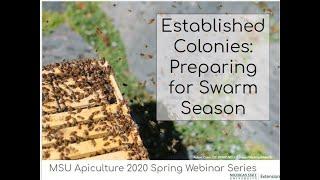 Established Colonies:  Preparing for Swarm Season