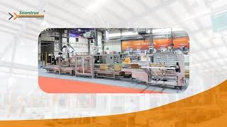 End of line packaging automation - Soontrue Packing Machinery