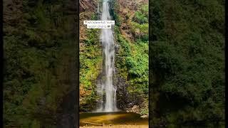 The highest waterfall in West Africa, Wli Waterfalls, Volta region Ghana #ghana #westafrica #volta