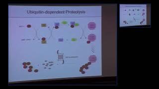 Scientist Stories: Craig Crews - Co-Founder of Arvinas, a pioneer in targeted protein degradation