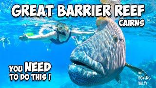 Snorkeling the Outer Great Barrier Reef - Best Day Ever in Cairns