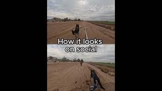 How it looks on social... is not what really happened.... bikejor #germanshepherd  #realitycheck