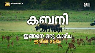 EP 01-കബനി(Kabini) Forest Safari - Complete travel guide | Nagarhole Tiger Reserve