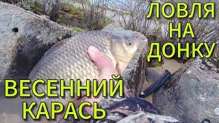 Весенний карась. Ловля карася на донку.
