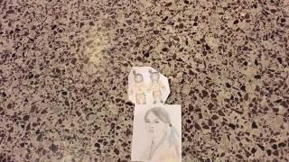 Louisiana Purchase by Jordyn, Selena, and Teresa