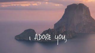 HUGEL x Topic x Arash feat. Daecolm - I Adore You (Visualizer)