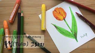 크레파스 일러스트, 간단한 귀여운 튤립 꽃 쉬운 그림그리기, 보태니컬아트 기초 How to draw tulip flower, Colored Crayon drawing