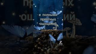 Спокойной ночи!!! Сладких снов!!! #видео #картинки #поздравление #ночь