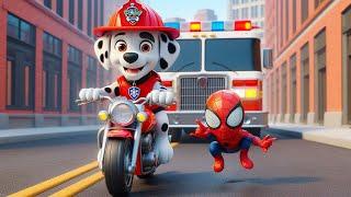 Paw Patrol Ultimate Rescue | Marshall Race to the Finish Line with Spider-Man Very Funny Story