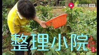 【山鍋兄弟】山锅兄弟打理竹林小院菜园，摘有机辣椒，回归自然淳朴的日子