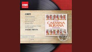 Carmina Burana, Pt. 3, Cour d'amours: Circa mea pectora