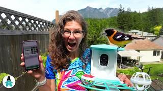 Spying on the birds with our IsYoung SMART Birdfeeder