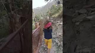 Diya bani pahadan @pahadi gurujee #shorts #ytshorts #pahadan #pahadigirls #villagelife