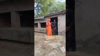 #TIMELAPSE: START to FINISH AloneBUILD LOG Cabin (Wooden House), How To Build Wooden Cabin, Survi