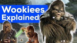 Wookiees explained  (canon)