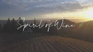 Spirit of Wine