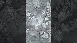 Mountain drone #천마산 #korea